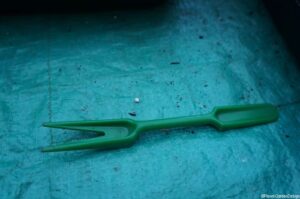 pricking out tool for seedlings, gardening lessons, grow your own