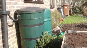 water butts, raised beds, compost bin, edible garden