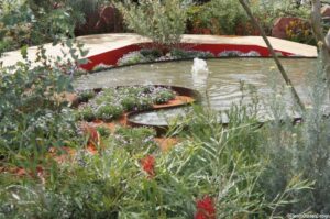 essence of Australia, best in show, Hampton Court Flower Showhampton court flower show 2014