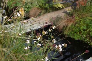 relections, bridge, hampton court flower show 2014