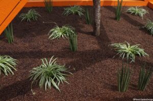 world vision garden, coffee beans, hampton court flower show 2014, mulch