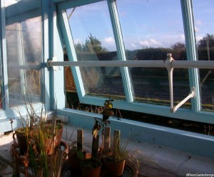 greenhouse - downe house, darwin