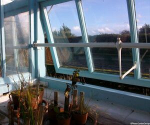 greenhouse - downe house, darwin