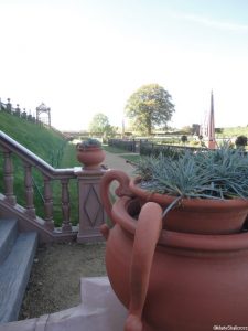 carnation pot, elizabethan garden, kenilworth castle