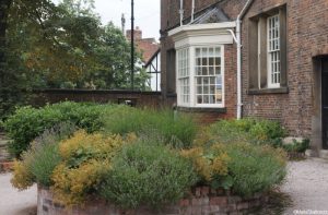 brick raised bed, alchemilla mollis, english lavender, patchwork gardens, york quilt museum