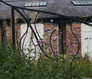 stipa gigantea, verbena bonariensis, patchwork gardens, york quilt museum