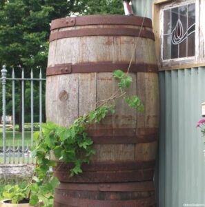 wooden water butt, recycled cask, vine, garden shed, garden sundries