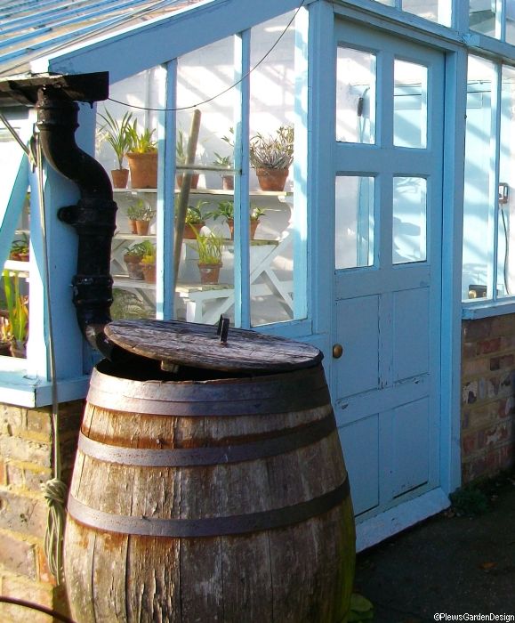 Greenhouse with cacti and tender plants, Downe House, Darwins home, Knet, wooden water barrel, blue wooden door, brick half wall to greenhouse