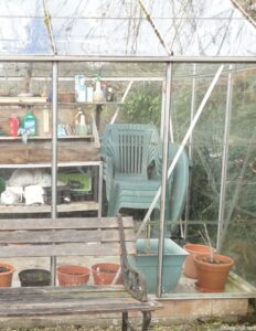 greenhouse with bench, winter garden
