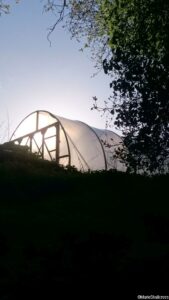 polytunnel at dawn