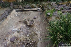 Removing koi pond, fish, family friendly garden