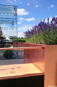lavender, copper planter, botanical studio garden, show garden, RHS Hampton Court Flower Show 2016