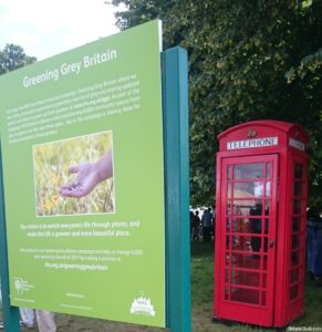 telephone box, greening grey britain, RHS Hampton Court Flower Show 2016