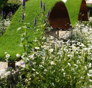 waves of grass, world vision garden, show garden, RHS Hampton Court Flower Show 2016