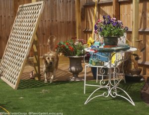 Saffy, diamond trellis, pergola, artificial lawn, dog friendly garden, garden designer, landscape gardener, golden retriever