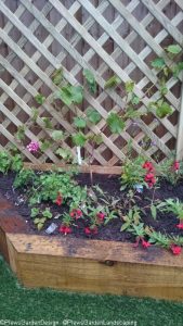 raised bed, grape vine, strawberries, dianthus, perennial planting, ornamental edible garden, garden design, plantng design, garden project, oak sleeper raised bed, artificial lawn