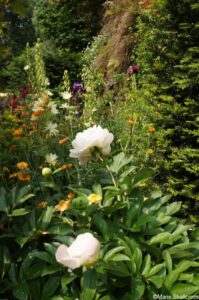 embroidered minds epilepsy garden, rhs chelsea 2018