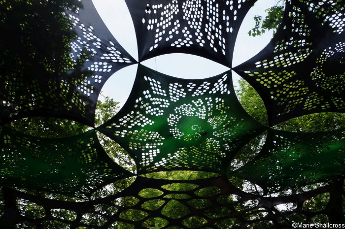 rhs chelsea 2018
