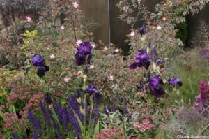 urban flow garden, rhs chelsea 2018