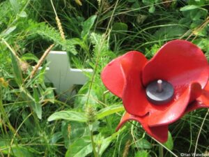 battlefields to butterflies, parks and gardens, hampton court 2018