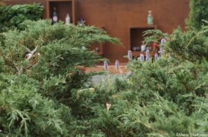 juniper, entertainment garden, lifestyle gardens. celebrating gin, hampton court 2018