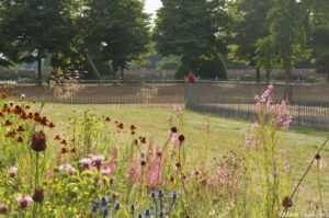 horticultural heroes, hampton court 2018