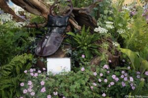 stag beetle, urban woodland worker, flower box hampton court 2018
