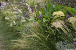 rnib community garden, hampton court 2018, show garden, ornamental grasses