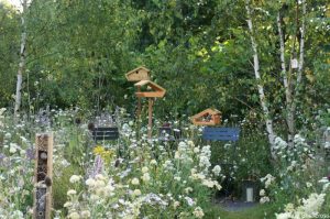 BBC Springwatch garden, feature gardens, RHS Hampton Court Garden Festival 2019