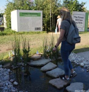 Believe in Tomorrow Garden, stepping stones, global impact gardens, RHS Hampton Court Garden Festival 2019