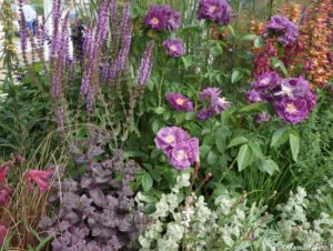 Cancer Research UK Pledge Pathway to Progress Garden, show gardens, RHS Hampton Court Garden Festival 2019