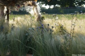 On the Brink Garden, global impact gardens, RHS Hampton Court Garden Festival 2019