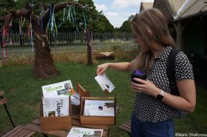 RHS Back to Nature Garden, feature gardens, RHS Hampton Court Garden Festival 2019