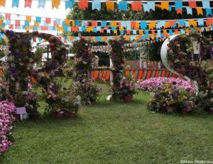 RHS letters, dahlias, RHS Hampton Court Garden Festival 2019