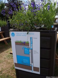 Thames Water Flourishing Future Garden, show gardens, RHS Hampton Court Garden Festival 2019
