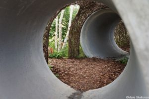 Thames Water Flourishing Future Garden, show gardens, RHS Hampton Court Garden Festival 2019