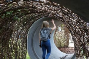 Thames Water Flourishing Future Garden, show gardens, RHS Hampton Court Garden Festival 2019