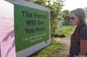 The Forest Will See You Now global impact gardens, RHS Hampton Court Garden Festival 2019