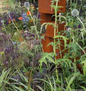 The Lower Barn Farm Outdoor Living Garden, lifestyle gardens, RHS Hampton Court Garden Festival 2019