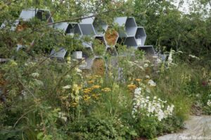 Urban Pollinator Garden , lifestyle gardens, RHS Hampton Court Garden Festival 2019