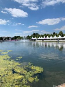 long water, RHS Hampton Court Garden Festival 2019