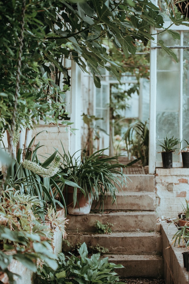 steps to greenhouse