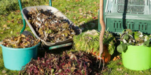 composting ingredients