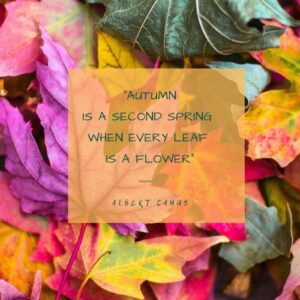Autumn is a second spring when every leaf is a flower Quote