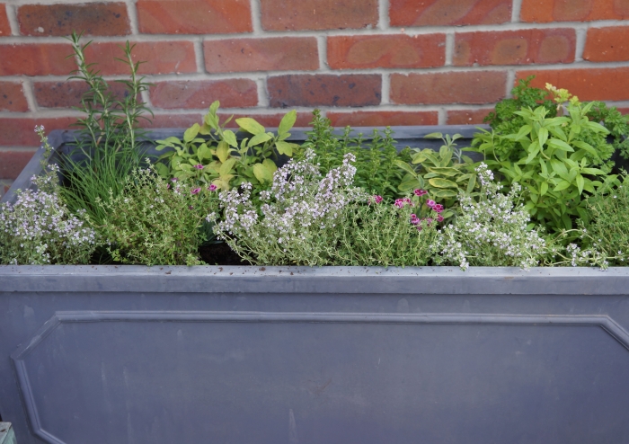 roof garden, herb garden in large planter