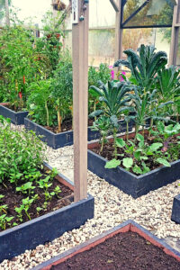 raised beds, vegetable gardening