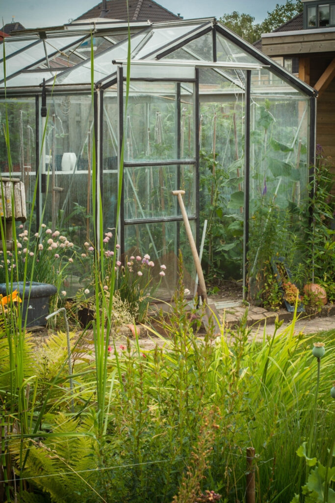 metal greenhouse in garden, herbs, garden spade