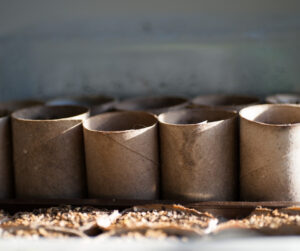 loo rolls, recycling, plant pots
