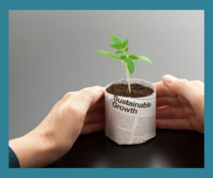 newspaper plant pot, tomato seedling, sustainable growth, recycling in the garden, original photo by mrpliskin on getty images