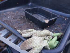potting tray, half sized seed tray, gardening gloves, propagation